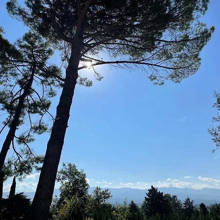 La Sauveterre